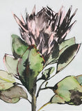 King Protea - surfaced